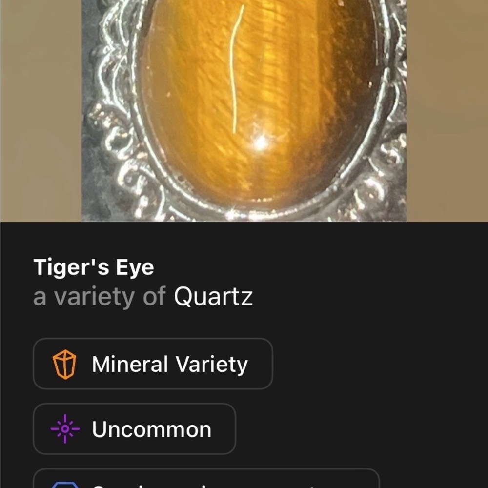 Tiger's Eye Quartz Gemstone pendant set in silver plating